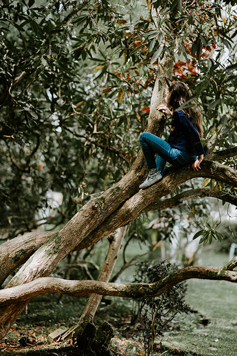 La Judit de petita va pujar dalt de l'arbre per salvar un ocell que havia caigut. Novel·la: "Mia? Descobreix els secrets del seu passat" de Nina Miralbell. Fotografia deannie-spratt
