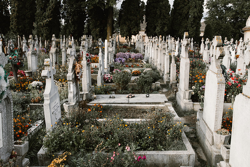 Caminant entre les tombes del cementiri. Novel·la: "Mia? Descobreix els secrets del seu passat" de Nina Miralbell. Fotografia de anton-darius